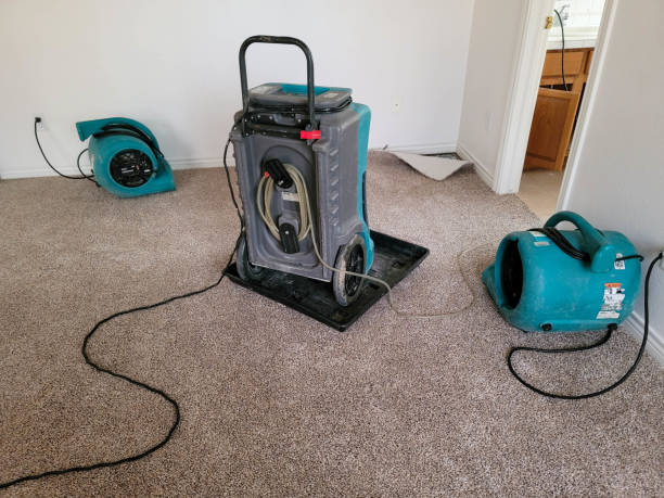 Best Water damage contractors near me  in Jackson, WY