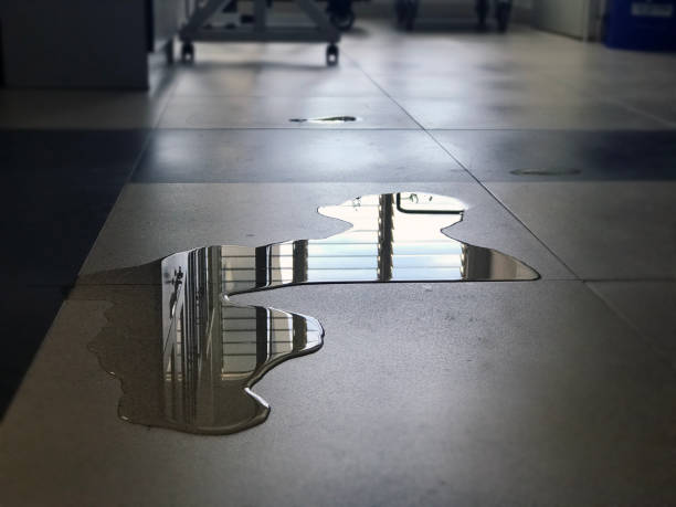 Best Water damage restoration cost  in Jackson, WY