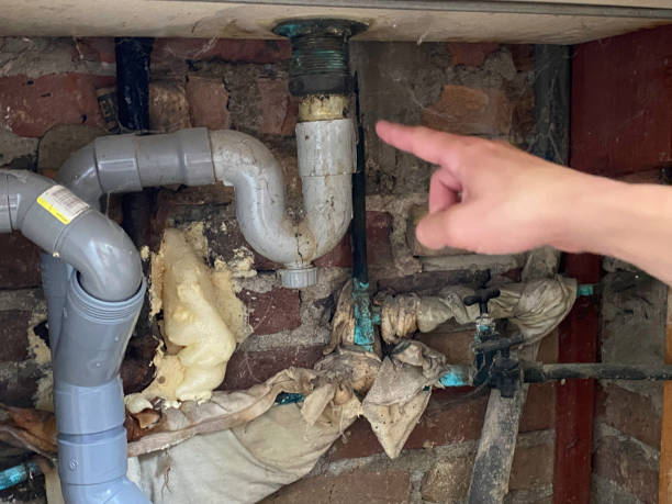 Best Water damage restoration cost  in Jackson, WY