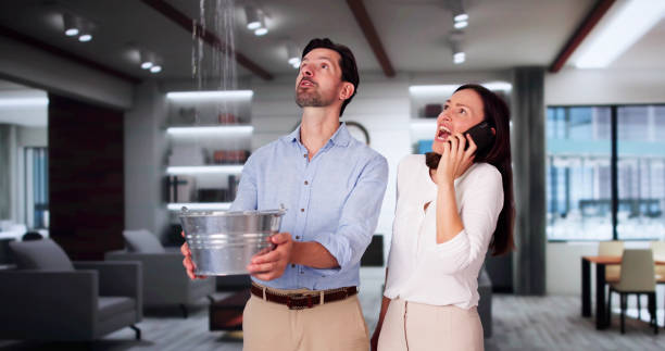Best Basement water damage restoration  in Jackson, WY