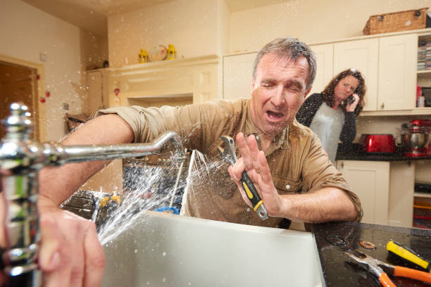 Best Fire Damage Restoration  in Jackson, WY